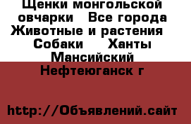 Щенки монгольской овчарки - Все города Животные и растения » Собаки   . Ханты-Мансийский,Нефтеюганск г.